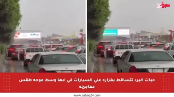 حبات البرد تتساقط بغزارة على السيارات في أبها وسط موجة طقس مفاجئة